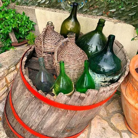 فيلة Fani فينكوران