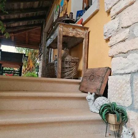 فيلة Fani فينكوران
