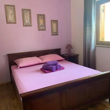 Fani * Vinkuran